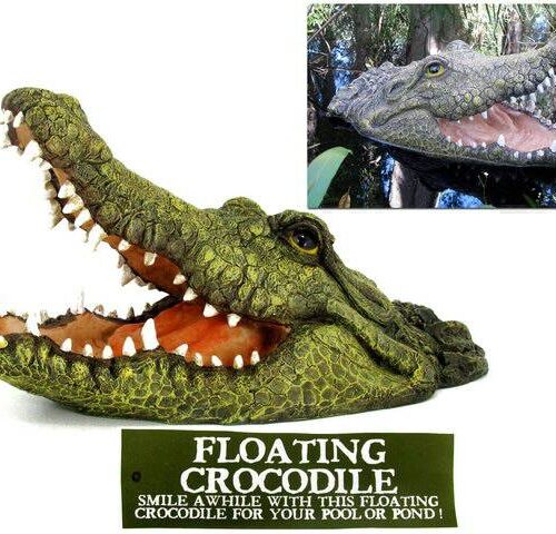 46cm Floating Open Mouthed Crocodile Head  Floating in Pond / Water Feature
